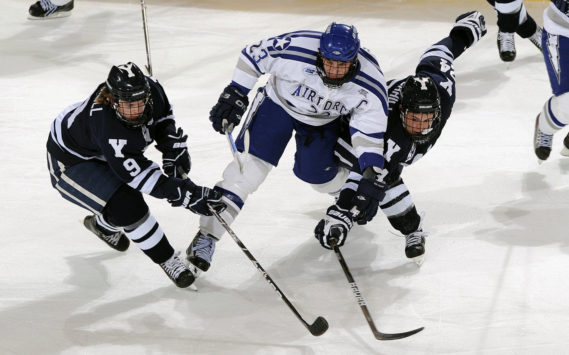 开云体育移动版-“青训重点项目获批国家支持，行业迎来黄金发展”，青训政策